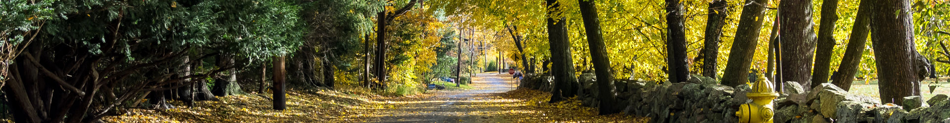 Shutterstock 1222744948